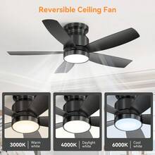 Portable Fans - Black - View 5