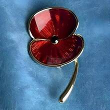 Auf dass wir nicht vergessen 2025 Mohn Anstecknadel UK Gedenk-Abzeichen