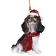 Cavalier King