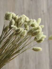 20/50/100 piezas Flores secas de gema de hierba, colores surtidos, para decoración del hogar, decoración de jarrones, ramos DIY, decoración de pasteles - color primario - Ver 5