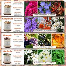 Vela aromáticas decorativa,velas Aromáticas de Flores Secas,veladoras aromaticas con caja de regalo y espaciadores,Cera de Soja 100% Pura,detalles para regalar a mujer,regalo de cumpleaños - Campánula - Ver 12