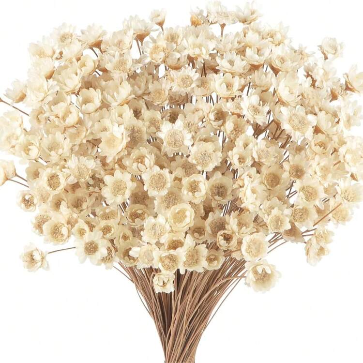 30/60/100/200支套装，天然干花，巴西迷你雏菊装饰干花，迷你雏菊洋甘菊花束，适用于婚礼花艺布置、家居装饰、情人节礼物 - 白色1 - 查看 5