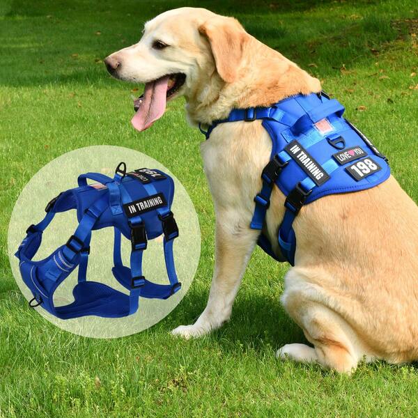 Vest No Pull Dog Harness With 4 Dog Patches, Reflective Pet Harness With Soft Padded Handle For Training Medium Large Dogs