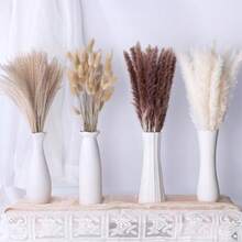 Piezas Ramo De Hierba De Pampa Seca, Plantas secas Artificiales Decorativas Hogar, Perfecta Decoracin Minimalista para Sala de Estar, Cocina, Dormitorio, Boda, Fiestas - Beis - Ver 2