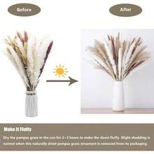 Piezas Ramo De Hierba De Pampa Seca, Plantas secas Artificiales Decorativas Hogar, Perfecta Decoracin Minimalista para Sala de Estar, Cocina, Dormitorio, Boda, Fiestas - Beis - Ver 7