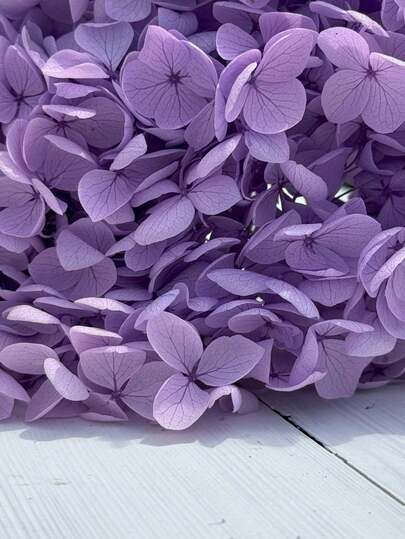 100/200/500/1000朵多色干绣球花 - 非常适合DIY工艺品、蜡烛、婚礼、手工制品、圣诞节