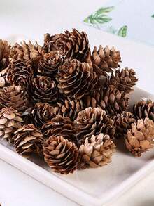 50 piezas/20 piezas/18 piezas Piñas de pino de Acción de Gracias, piñas de pino de cosecha de otoño, decoraciones de hojas de arce DIY, piñas de pino de cosecha, Navidad, adecuadas para fiestas festivas, Acción de Gracias, festival de cosecha, cosecha de otoño, cultivos de otoño, accesorios de decoración de Año Nuevo (estilo aleatorio) Viene con cuerda de cáñamo, regalo de piña mini DIY para cumpleaños, graduación, decoración colgante de árbol de Navidad de piña de Navidad, Navidad