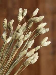 20/50/100 piezas Flores secas de gema de hierba, colores surtidos, para decoración del hogar, decoración de jarrones, ramos DIY, decoración de pasteles - color primario - Ver 4