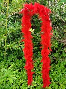 1 chiếc khăn choàng lông giả nhiều màu sắc, được làm từ chất liệu nhung mềm mại, thiết kế dành cho nữ, một phụ kiện đa năng phù hợp cho khiêu vũ, đám cưới, tiệc tùng, Halloween, Giáng sinh, đêm giao thừa và tiệc trà. - Nhiều màu - Xem 4