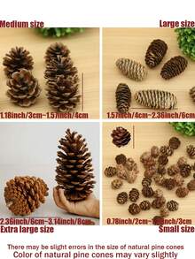 50 piezas/20 piezas/18 piezas Piñas de pino de Acción de Gracias, piñas de pino de cosecha de otoño, decoraciones de hojas de arce DIY, piñas de pino de cosecha, Navidad, adecuadas para fiestas festivas, Acción de Gracias, festival de cosecha, cosecha de otoño, cultivos de otoño, accesorios de decoración de Año Nuevo (estilo aleatorio) Viene con cuerda de cáñamo, regalo de piña mini DIY para cumpleaños, graduación, decoración colgante de árbol de Navidad de piña de Navidad, Navidad