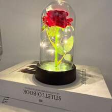 1pc Glass Dome, Preserved Flower, Doll Display, Glass Display Dome With Soft Wood Base, Mason Jar Dome, Flower Vase Display Box, Transparent Dome-Shaped Display Box, For Crafts, Plants, Lamps, Succulents, Trophies, Pocket Watches Desktop Decor, Home Christmas Party Gift Decoration, Home Decor