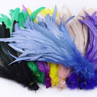 50Pcs 25-30cm/9-11inch Women's Artificial Rooster Feathers Headwear Accessories Multicolour Crafts Performance Clothes Accessories DIY Home Party Decoration