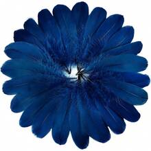 FeelfunFeather 120pcs Navy Blue Goose Feathers 6-8 Inch 15-20cm Decorative Natural Goose Nagoire Bulk Crafts Cosplay Wedding Party Halloween Home Decoration - TỰ NHIÊN - Xem 1