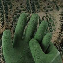 1 双重型防滑防刺园艺手套 - 带防滑手柄的绿色植物护理手套，适用于修剪、除草、清洁 - 适用于玫瑰、龙舌兰和其他尖锐植物 - 适用于室内、厨房、汽车和家庭使用 - 符合人体工程学的设计和耐用的 PP 材料 - 男女通用 - 彩色 - 查看 2