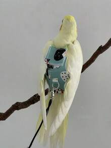 1pc Improved Bird Diaper With Waterproof Design, Easy To Clean, Long-Tailed Parrot Leash + Bird Clothes