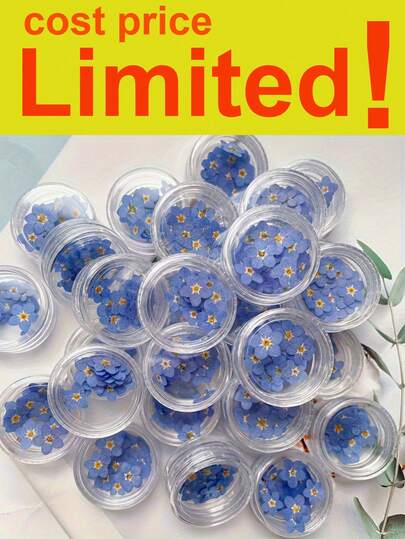 30 Stück Getrocknete Blumen in Box, Ausschneiden und Aufkleben Dekomaterial, ideal für Harz Handwerke, DIY Dekorationen und Weihnachtsgeschenke, 3D Nagelkunst, Pflanzen Thema, unregelmäßige Form, ganzjährige Kunstprojekte, Blumen- und Kerzenherstellung