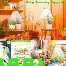 6000K全光谱USB植物生长灯，适用于室内植物生长，可用于种子、多肉植物和小盆栽，具有自动开关和调光功能。