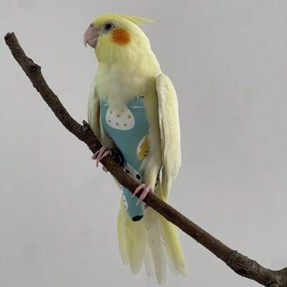 1pc Improved Bird Diaper With Waterproof Design, Easy To Clean, Long-Tailed Parrot Harness