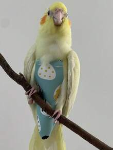1pc Improved Bird Diaper With Waterproof Design, Easy To Clean, Long-Tailed Parrot Leash + Bird Clothes