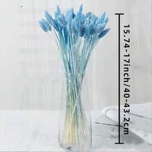 20/50/100 piezas Flores secas de gema de hierba, colores surtidos, para decoración del hogar, decoración de jarrones, ramos DIY, decoración de pasteles - color primario - Ver 6