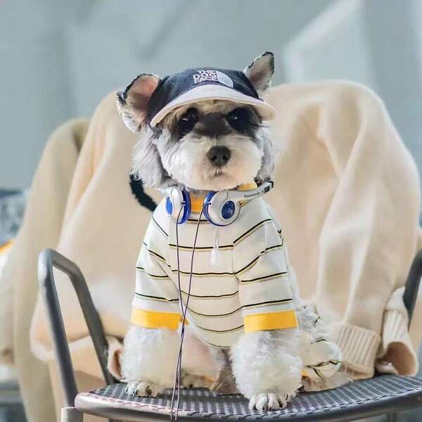 1pc Pet Clothes, Cat/Dog Apparel, Casual Breathable Striped Design, Red & Yellow