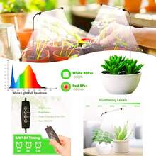 6000K全光谱USB植物生长灯，适用于室内植物生长，可用于种子、多肉植物和小盆栽，具有自动开关和调光功能。