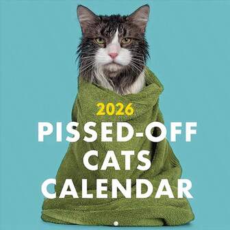 2026/2025 -Off Cats Calendar - 12-Month Wall Calendar For Cat Lovers, Humorous Feline-Themed Funny Gift Planner Hanging Christmas Decorations Home Christmas Gifts Christmas Decor