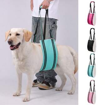 1Pc Dog Slings For Small,Medium Sized Large Dogs - Adjustable Hind Leg & Hip Support Harness, Plush Rehab Lift Aid With Reflective Straps, Assist Elderly/Injured/Post-Surgery Dogs With Mobility Issues (Turquoise, S)