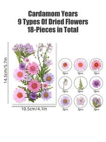 20/40片装 DIY 干花压花标本，手工压制花，幼儿园早教教具，随机混合玫瑰贴纸书签，适合制作四季花瓣标本，书签贴纸，男女童手工趣味可爱礼物，生日礼物，复活节礼物，万圣节礼物