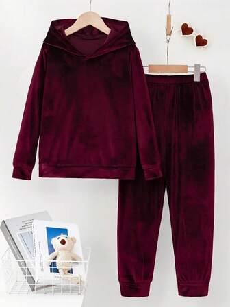 Women's Plus Size Solid Color Elegant Casual Hooded Sweatshirt 2 Pieces Set