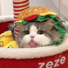 Pisică Burger bandă de susținere guler animal de companie Halloween costum decorativ bandă de susținere pentru pisică pălării cosplay rochie