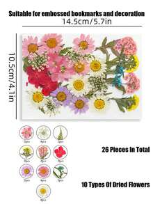 20/40片装 DIY 干花压花标本，手工压制花，幼儿园早教教具，随机混合玫瑰贴纸书签，适合制作四季花瓣标本，书签贴纸，男女童手工趣味可爱礼物，生日礼物，复活节礼物，万圣节礼物