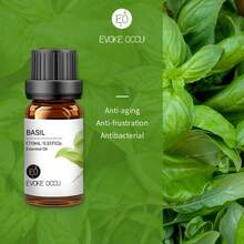 EVOKE OCCU 纯精油，10毫升/0.33液盎司，薰衣草、茉莉、玫瑰、香草、薄荷、橙花、青柠精油，适用于香薰机、加湿器、按摩、护肤护发、蜡烛和肥皂制作、DIY香水 - 多種香味 - 查看 30