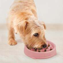 Outward Hound Medium Slow Feeder Bowl, Puzzle Maze For Fast Eaters, Small To Medium Dogs, Helps Prevent Bloat &Amp; Aid Digestion, Holds 2 Cups Wet Or Dry Food, Non-Slip, Made Without BPA, Turquoise - ColorE - 查看 6
