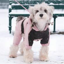 Casaco de inverno para cães de alta qualidade, 1 peça, à prova de vento, quente, macacão de quatro patas para cães pequenos/médios, Natal, decorações de Natal - Multicolorido - Ver 3