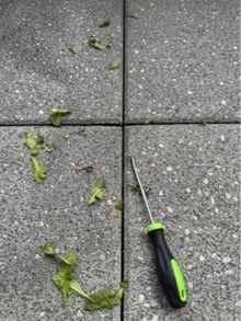 1 pièce Outil de retrait de joint en métal robuste - Poignée verte et noire. Outil de desserrage pour pelouse, fissures de paysagement et joints de pavage, remplacement de bande de grillage. Crochet pour retirer les bandes de joint de porte et fenêtre. Outil de retrait de bande . Idéal pour le désherbage et le retrait.