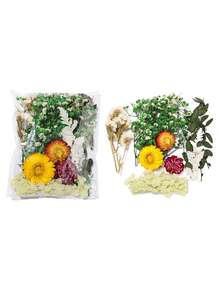 20/40片装 DIY 干花压花标本，手工压制花，幼儿园早教教具，随机混合玫瑰贴纸书签，适合制作四季花瓣标本，书签贴纸，男女童手工趣味可爱礼物，生日礼物，复活节礼物，万圣节礼物