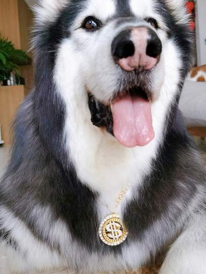 1pc Sturdy 360° Rotating Full Rhinestone Round Dollar Pendant, Alloy Shiny Rotating Pet Necklace For Cats & Dogs, Hip-Hop, Street, Retro, Punk Style Decoration Chain