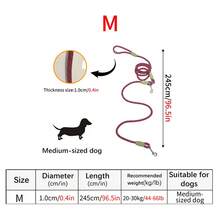 1条夜光尼龙免手持狗绳，多功能肩带/斜挎带，适合小型、中型和大型犬 - 彩色 - 查看 9