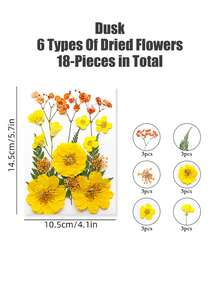 20/40片装 DIY 干花压花标本，手工压制花，幼儿园早教教具，随机混合玫瑰贴纸书签，适合制作四季花瓣标本，书签贴纸，男女童手工趣味可爱礼物，生日礼物，复活节礼物，万圣节礼物