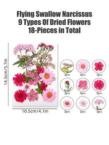 20/40片装 DIY 干花压花标本，手工压制花，幼儿园早教教具，随机混合玫瑰贴纸书签，适合制作四季花瓣标本，书签贴纸，男女童手工趣味可爱礼物，生日礼物，复活节礼物，万圣节礼物