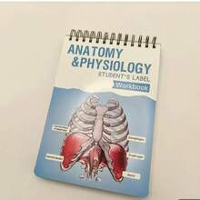 1pc Colorful Anatomy Label Workbook With 100+ Pages And Erasable Pages - Essential Learning Guide For Practicing Anatomy Terminology, 100+ Anatomy Diagrams, Anatomy Learning Tool | Easy To Flip Through | Pages [Random Color],School Supplies,Back To School
