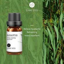 EVOKE OCCU 纯精油，10毫升/0.33液盎司，薰衣草、茉莉、玫瑰、香草、薄荷、橙花、青柠精油，适用于香薰机、加湿器、按摩、护肤护发、蜡烛和肥皂制作、DIY香水 - 多種香味 - 查看 33