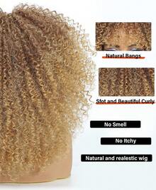 16 Inch Curly Wigs For Women Afro Kinky Curly Hair Wig About 280g/Piece Afro Synthetic Full Wigs Soft And Fluffy Like A Bomb Afro Kinky Curly Hair - 漸變金色 - 查看 4