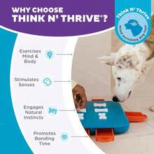 Outward Hound By Nina Ottosson Multipuzzle Level 4 Expert Dog Treat Puzzle For Enrichment, Blue - ColorB - 查看 6