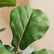 4.5ft Artificial Fiddle Leaf Fig Tree With Elegant White Planter, Faux Fig Trees Floor Plant In Pot, Fake Ficus Lyrata Trees For Indoor Living Room Bedroom Office Housewarming Gift - màu xanh lá - Xem 5