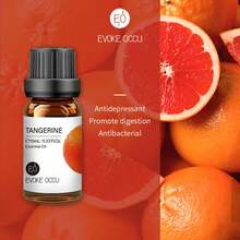 EVOKE OCCU 纯精油，10毫升/0.33液盎司，薰衣草、茉莉、玫瑰、香草、薄荷、橙花、青柠精油，适用于香薰机、加湿器、按摩、护肤护发、蜡烛和肥皂制作、DIY香水 - 多種香味 - 查看 23
