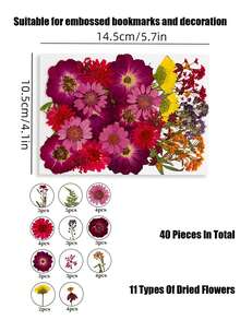 20/40片装 DIY 干花压花标本，手工压制花，幼儿园早教教具，随机混合玫瑰贴纸书签，适合制作四季花瓣标本，书签贴纸，男女童手工趣味可爱礼物，生日礼物，复活节礼物，万圣节礼物