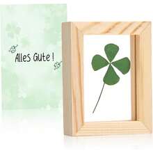  Kleine Glücksbringer - Holzrahmen  Echtem Vierblättrigem Kblatt - Hochwertige Handarbeit - Glücksbringer für Prüfung, Mutmacher, Gute Bserung & Dankchön