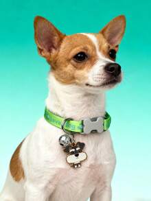 1pc Cartoon Print Adjustable Pet Collar, Cute Dog Pendant Necklace, Cat Collar, Dog Collar, Bone-Shaped Buckle, Pet Accessories - Multicolor - View 5